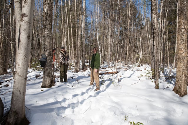 Bushcraft-2-2016-3447.jpg