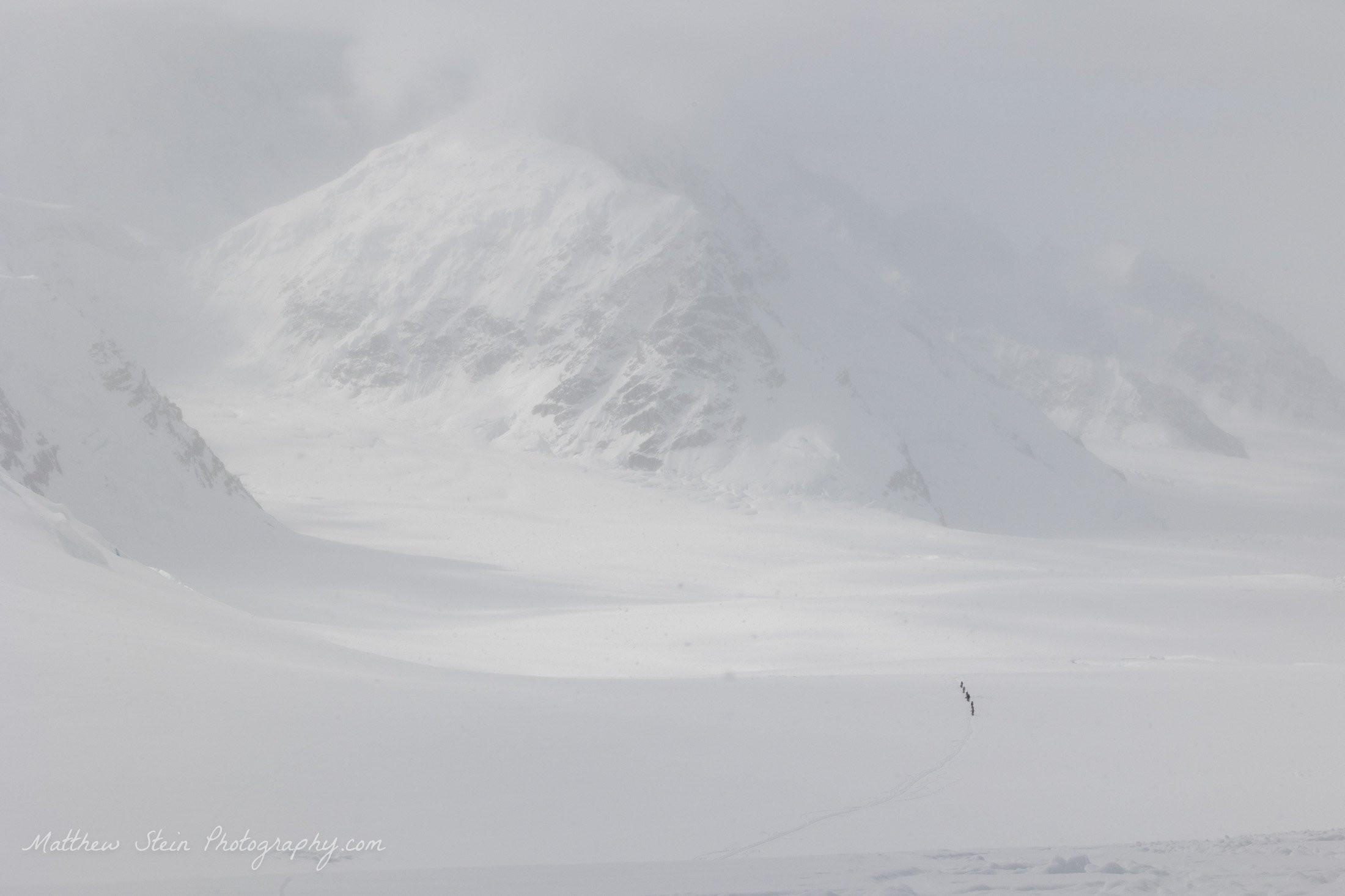 Denali WB 5-2021-7556