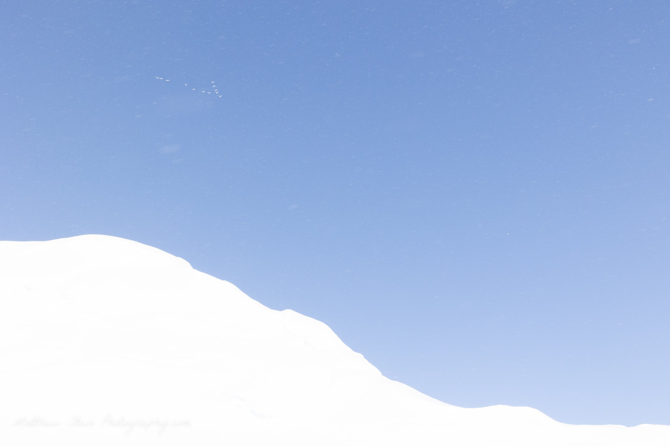 Denali WB 5-2021-7630