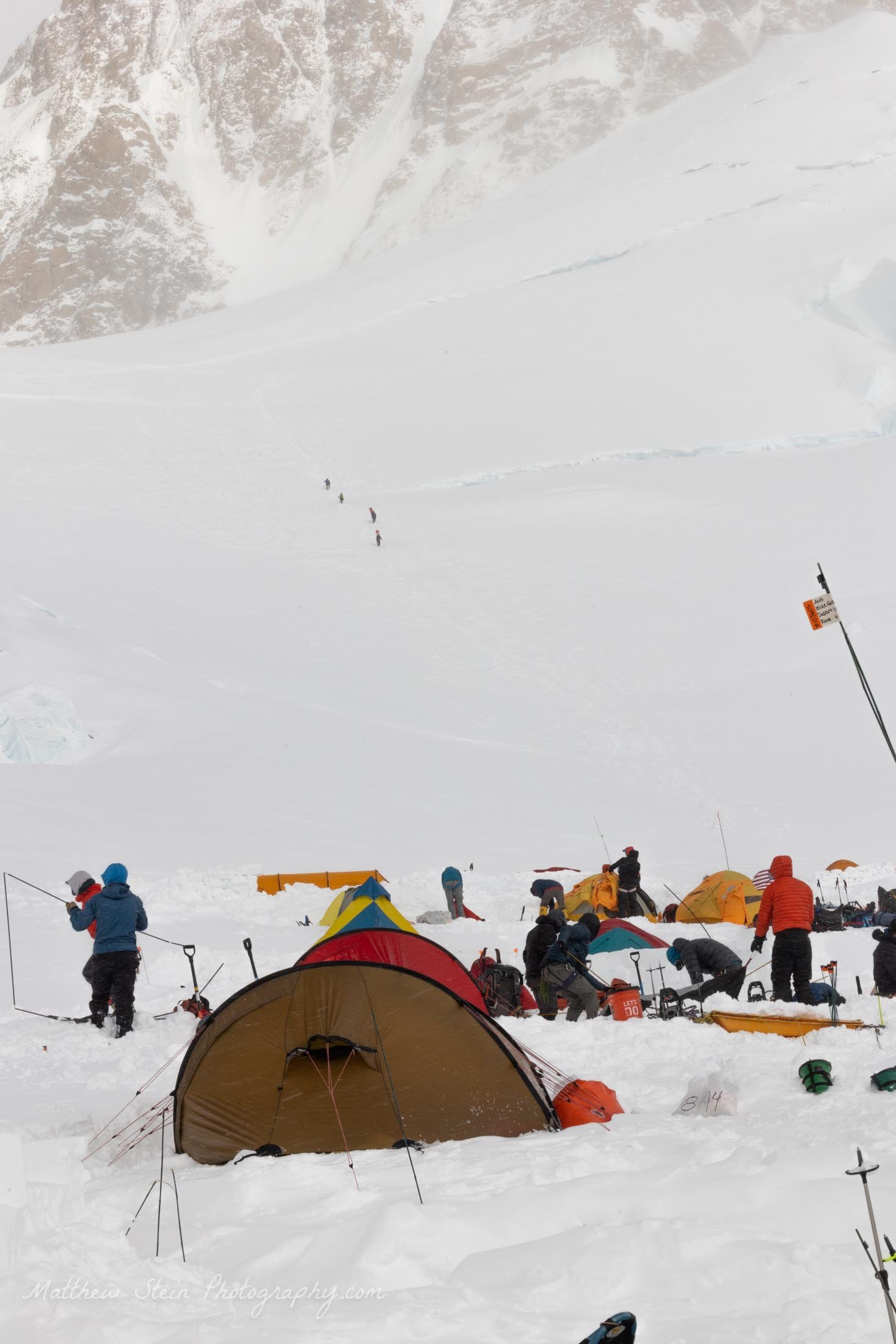 Denali WB 5-2021-7732