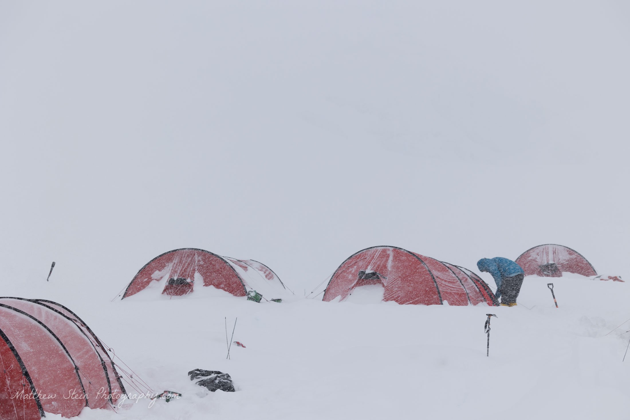 Denali WB 5-2021-7838