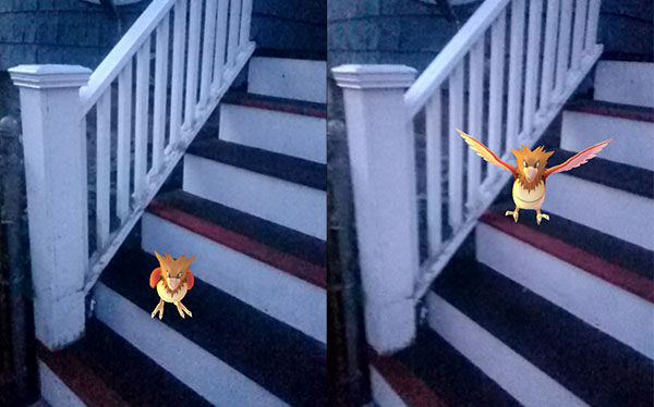 Pokemon in Action
