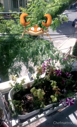 Fried Krabby