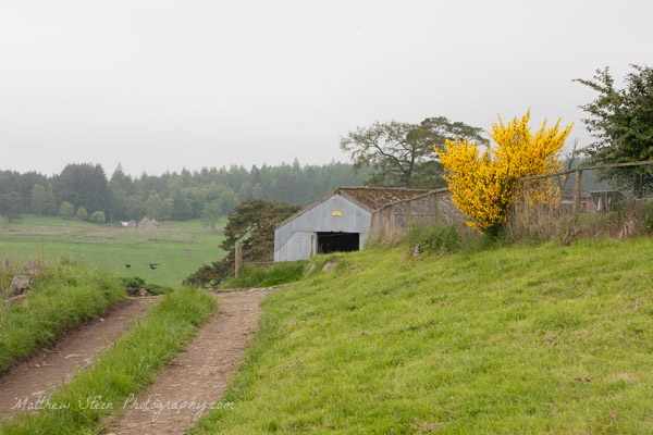 Farm-in-Scotland-8395