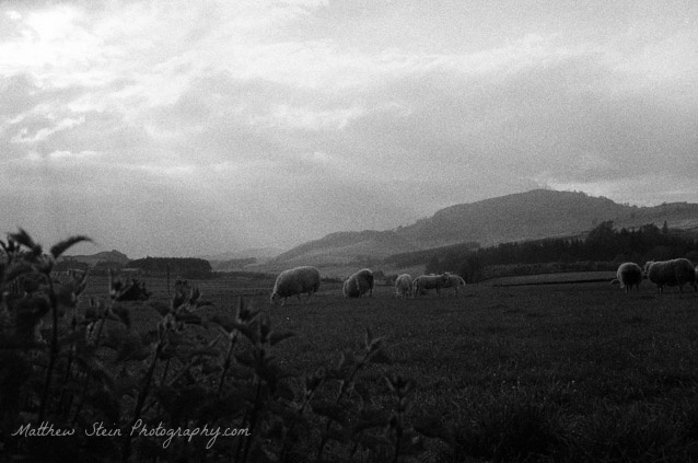 Scotland_-_BW_Film-99970021-638